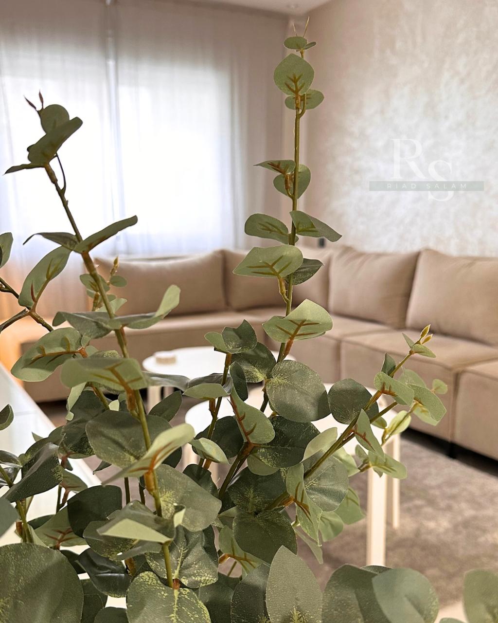 Tangier apartment — image 15